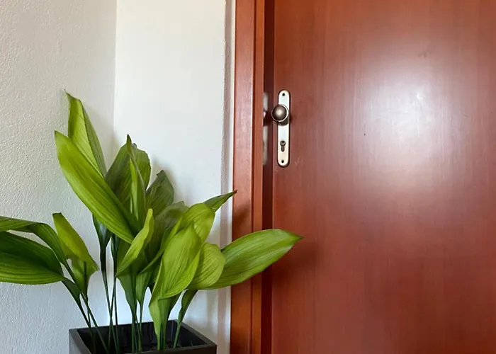 מלון Korali Paralía