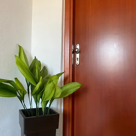 Hotell Korali Paralía